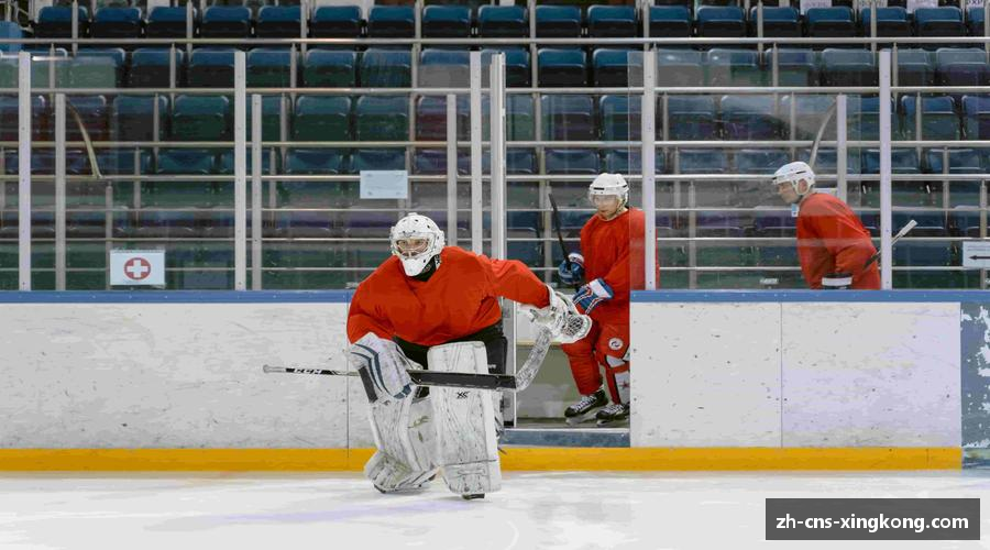 星空体育(china)官方网站 starrysky sports
